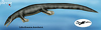 Vallecillosaurus donrobertoi.jpg