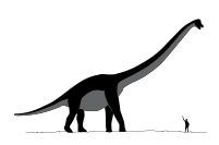 Sauroposeidon dinosaur.svg