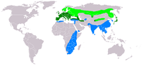 Verde oscuro: Todo el año Verde claro/azul: Crianza/rango de invierno del ratonero de la estepa.
