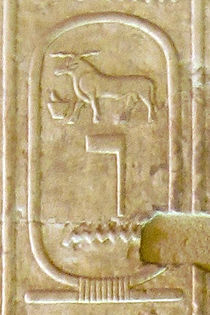 Abydos KL 02-03 n11.jpg