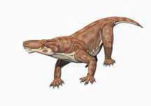 Scylacosaurus.jpg