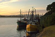 Abaconda Tauranga-Boat Sunrise.jpg