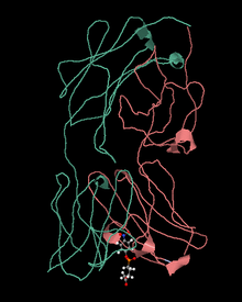 Basiliximab chemical structure