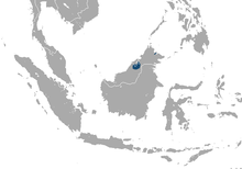 Bornean Pygmy Shrew area.png