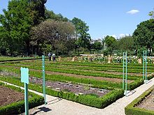 Dijon - Jardin de l'Arquebuse - Jardin botanique 1.JPG