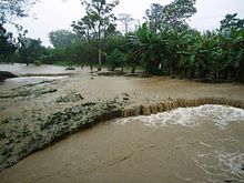 Inundaciones en Costa Rica, octubre de 2011 (16).jpg