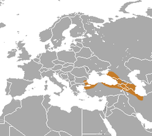 Levant Mole area.png