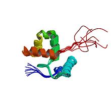 PBB Protein ARID1A image.jpg