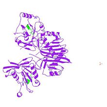 PBB Protein RAN image.jpg