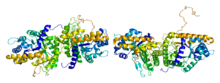 Protein ALDOB PDB 1fdj.png