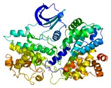 Protein CCNE1 PDB 1w98.png