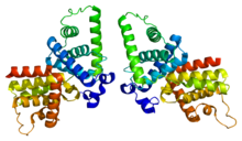 Protein CCNT2 PDB 2ivx.png