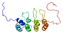 Protein CDKN2A PDB 1a5e.png