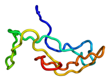 Protein CGA PDB 1dz7.png