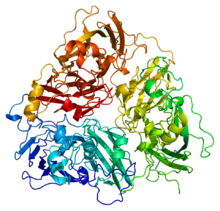 Protein CP PDB 1kcw.png