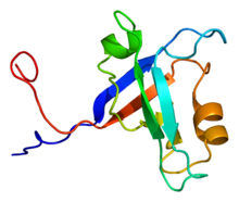 Protein DFNB31 PDB 1uez.png