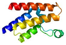 Protein GCN5L2 PDB 1f68.png