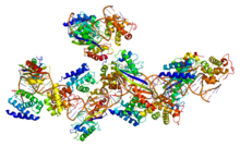 Protein GTF2B PDB 1c9b.png
