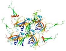 Protein GTF2F1 PDB 1f3u.png