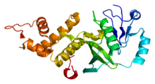 Protein HTATIP PDB 2ou2.png