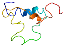 Protein IGF1 PDB 1bqt.png