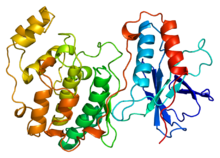 Protein MAPK14 PDB 1a9u.png