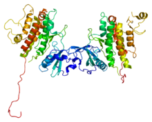 Protein MAPKAPK2 PDB 1kwp.png