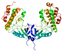 Protein MKNK1 PDB 2hw6.png