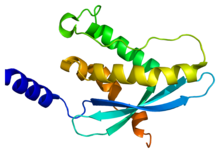 Protein NCF4 PDB 1h6h.png