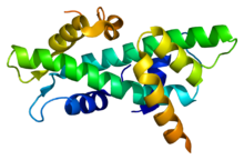 Protein NFYB PDB 1n1j.png