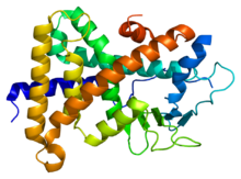 Protein NR1I2 PDB 1ilg.png