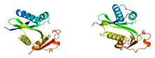 Protein PCAF PDB 1cm0.png
