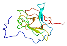 Protein PPP1R8 PDB 2jpe.png