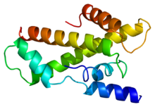 Protein TAF11 PDB 1bh8.png