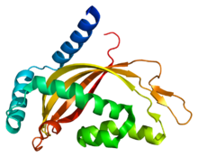 Protein TIMM44 PDB 2cw9.png