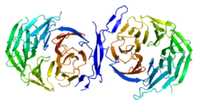 Protein TLE1 PDB 1gxr.png