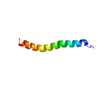 Protein UCN PDB 2RMF.png