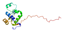Protein WRN PDB 2axl.png