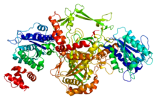 Protein XRCC5 PDB 1jeq.png