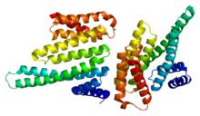 Protein YWHAB PDB 2bq0.png