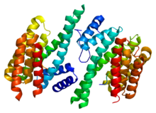 Protein YWHAQ PDB 2btp.png