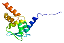 Protein ZBTB16 PDB 1buo.png