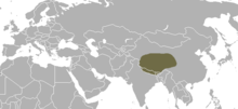 Área de distribución del zorro tibetano