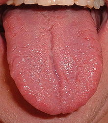 Tongue.agr.jpg