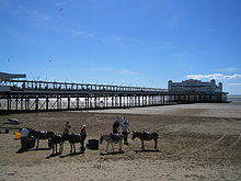 Largo paseo apoyado sobre postes de metal enterrados en la arena, que lleva hasta un edificio pintado de blanco. En primer plano hay los burros en la arena.