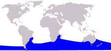 Hábitat de la ballena franca austral
