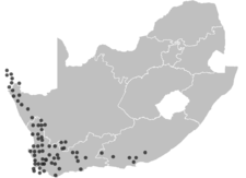 Distribución de H. coccineus  en Sudáfrica.
