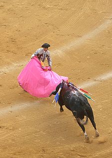 Matador bullfight.JPG