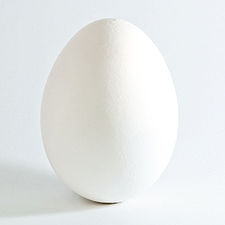 White chicken egg square.jpg