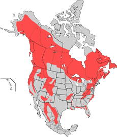Distribución de Ursus americanus.